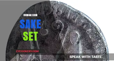 Ancient Elegance: Roman Coin Sake Set for Modern Celebrations