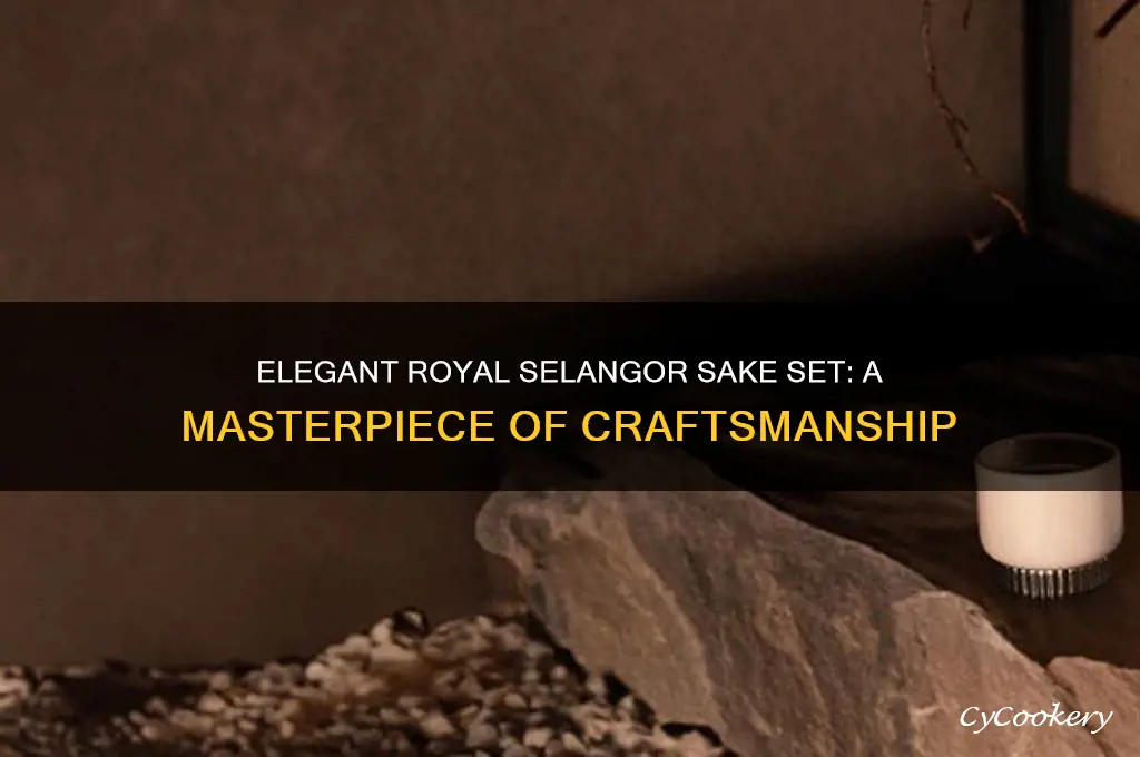 royal selangor sake set