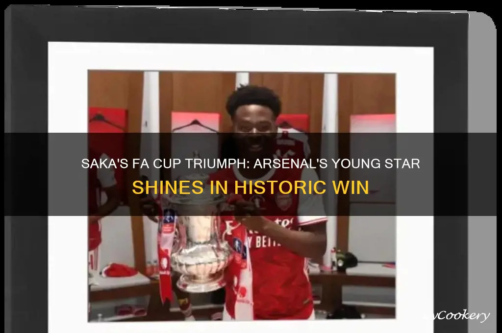 saka fa cup trophy