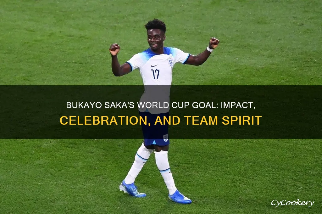 saka goal world cup