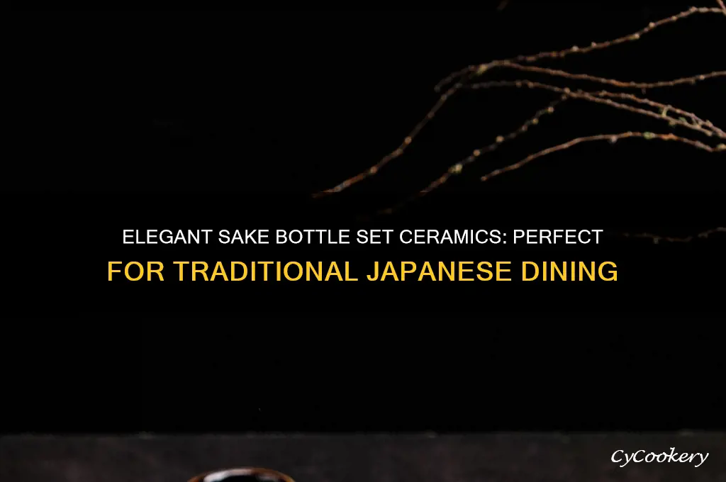 sake bottle set ceramics