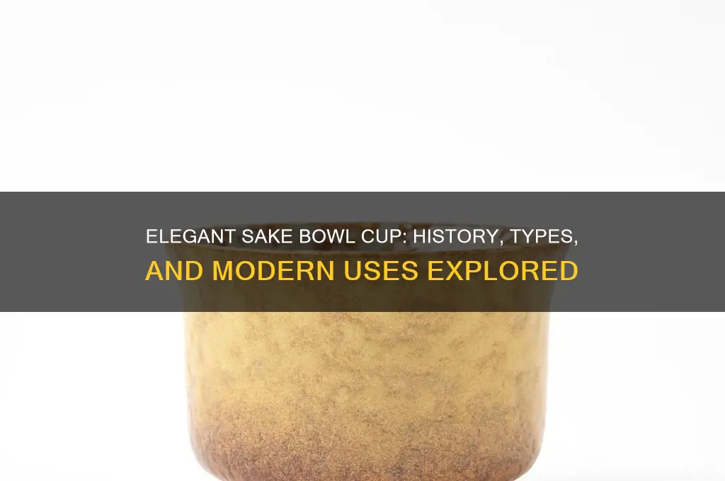 sake bowl cup