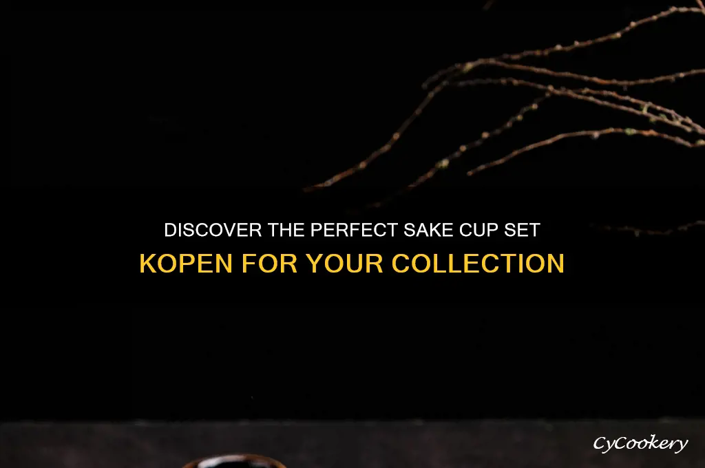 sake cup set kopen