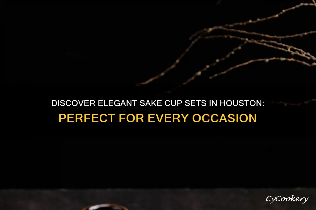 sake cup sets houston