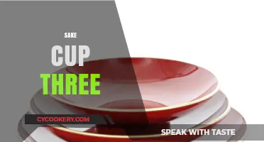 Sake Cup Three: Unveiling the Art of Traditional Japanese Drinking Rituals