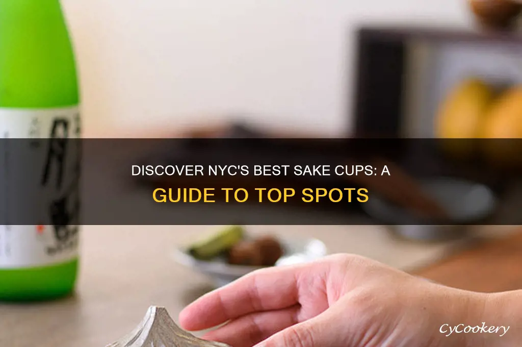 sake cups nyc