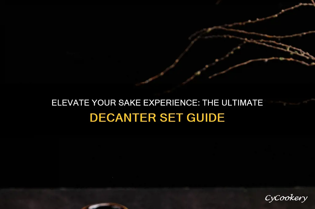 sake decanter set