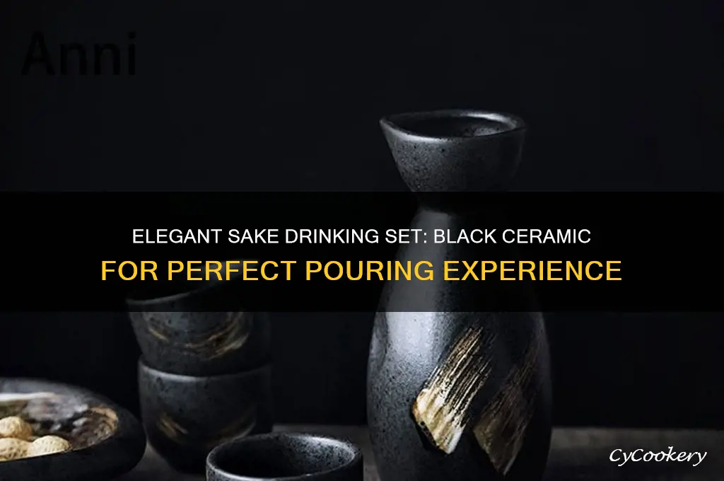 sake drinking set black