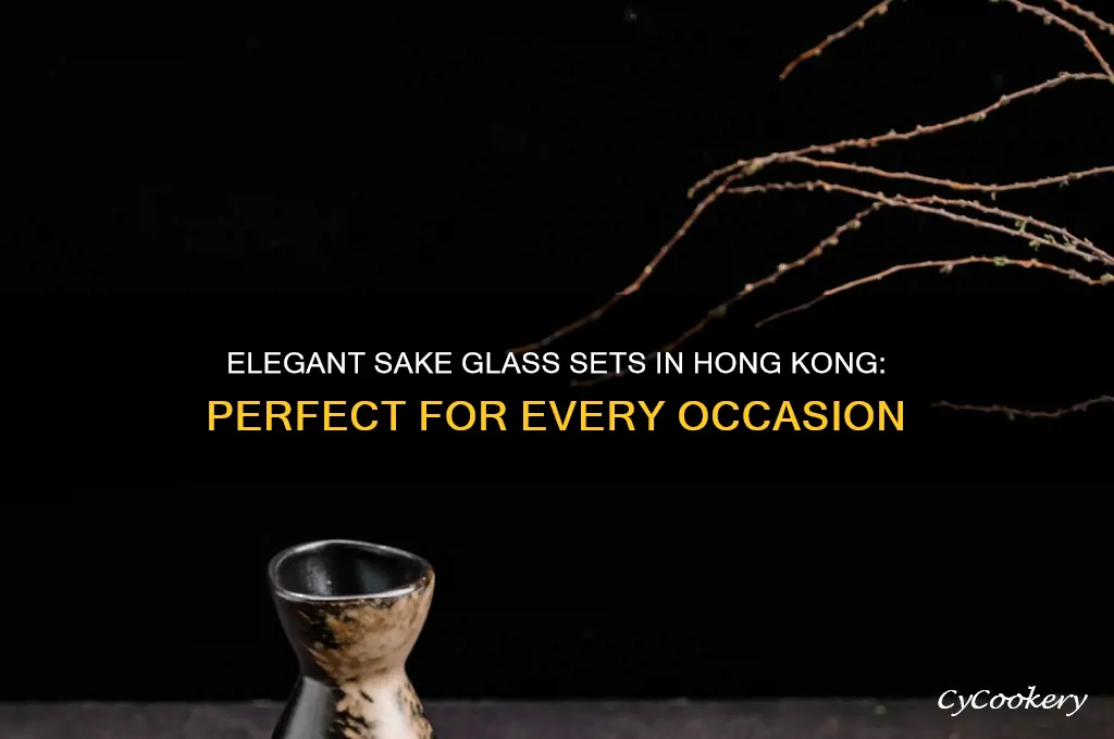 sake glass set hk