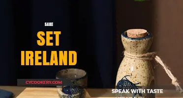 Discover Authentic Sake Sets in Ireland: Elevate Your Tasting Experience