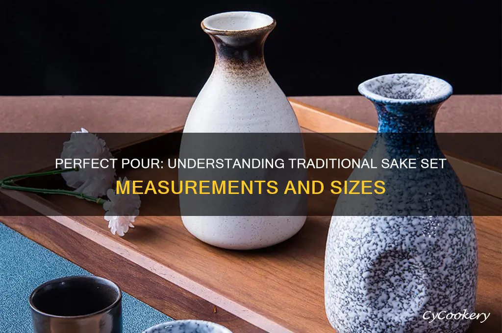 sake set measurements