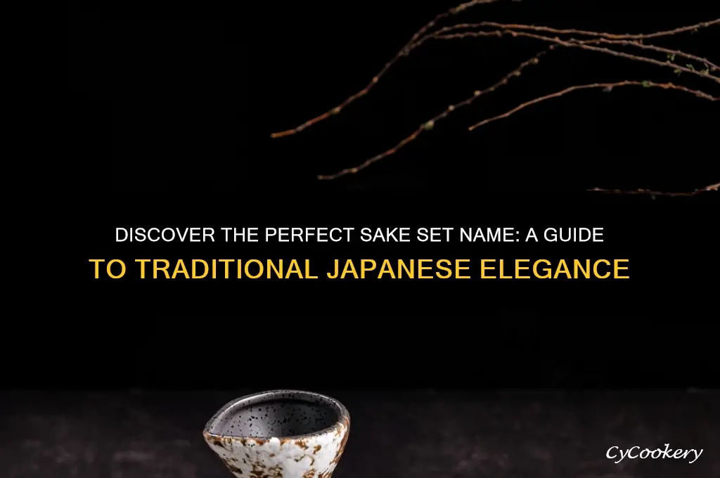 sake set name