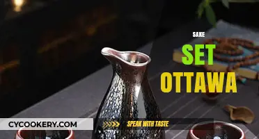 Discover Ottawa's Best Sake Sets: A Guide to Elegant Dining