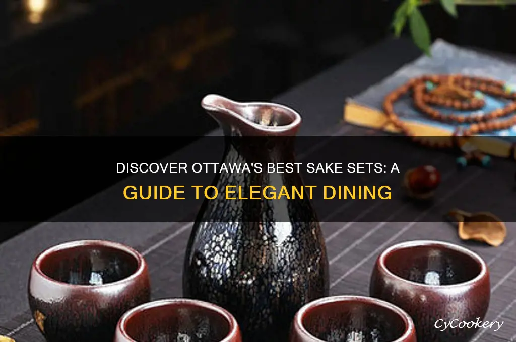 sake set ottawa