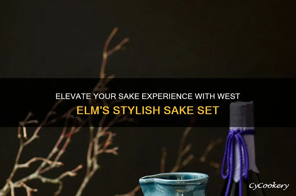 sake set west elm