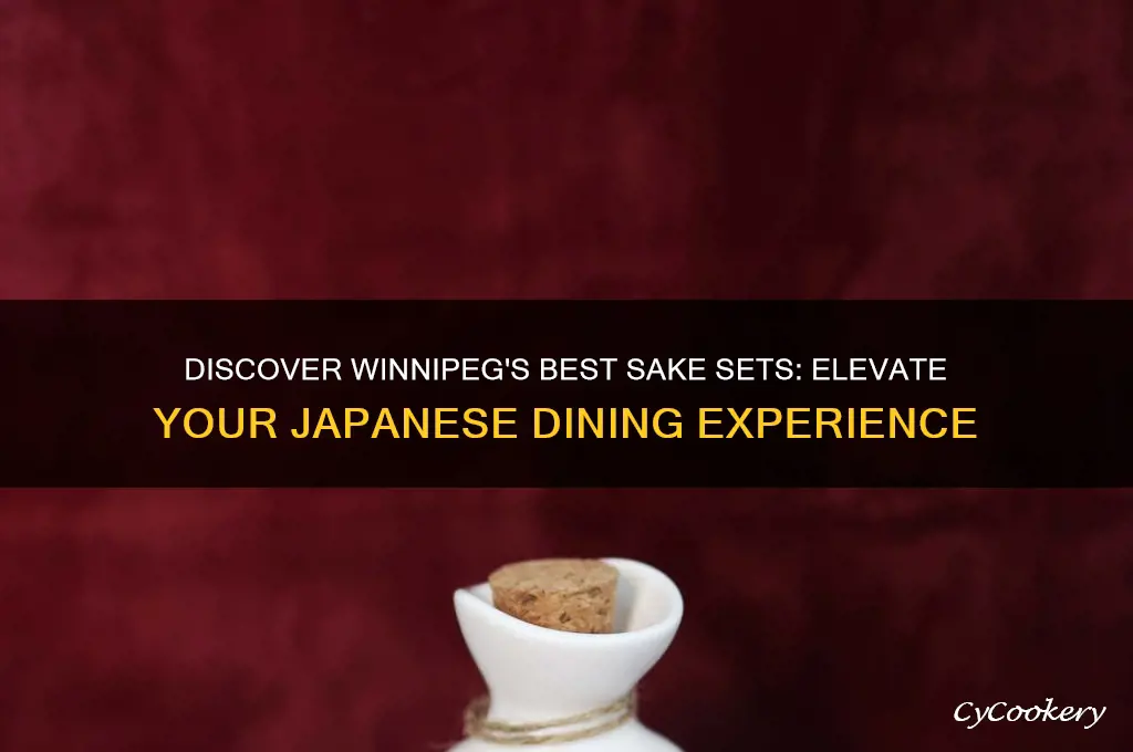 sake set winnipeg