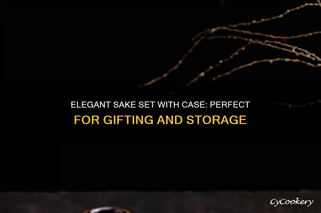 sake set with case