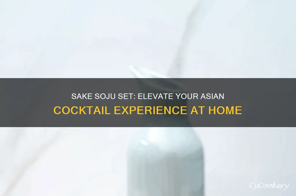 sake soju set