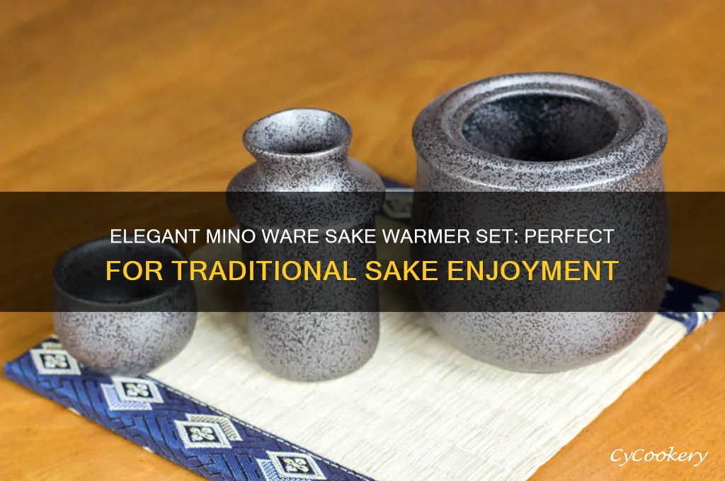 sake warmer set mino ware