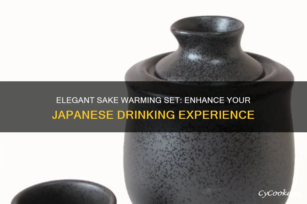 sake warming set