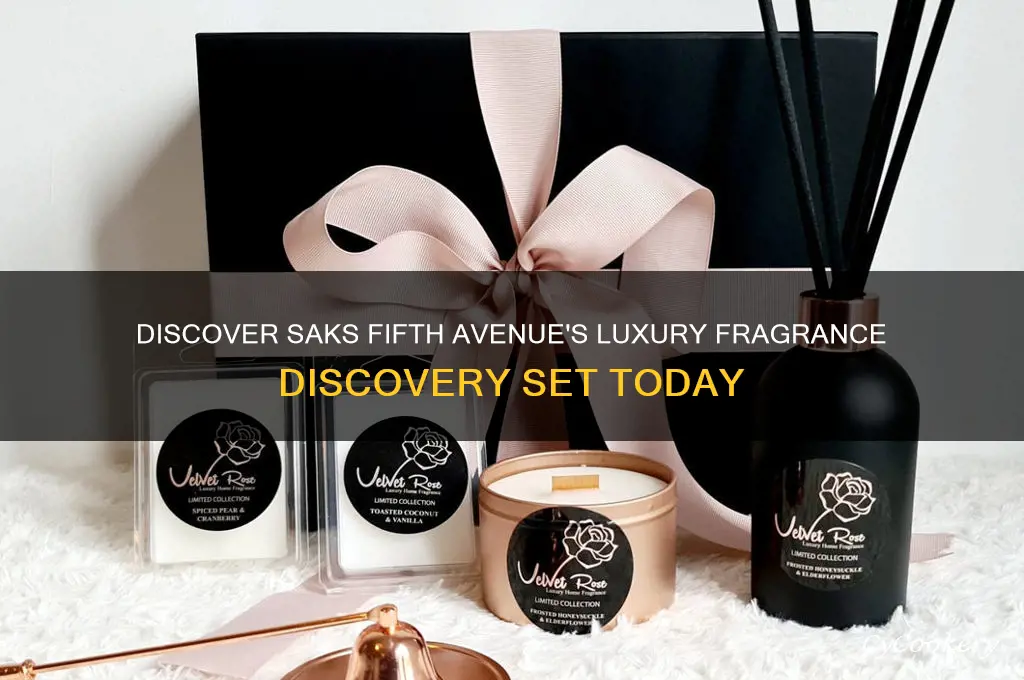 saks discovery set