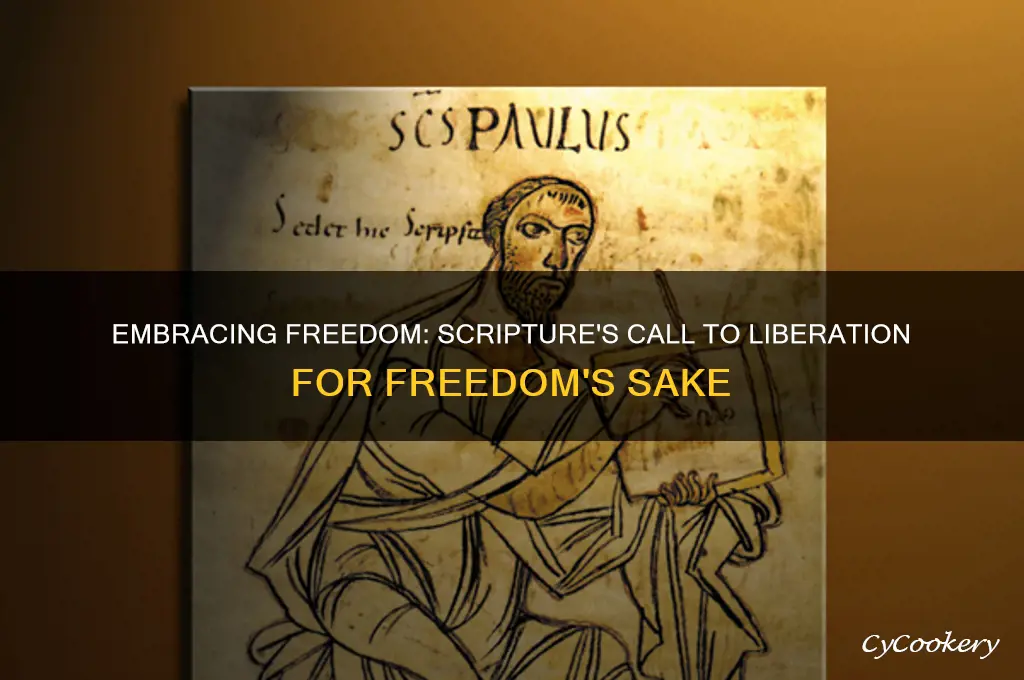 scripture about set free for freedom sake