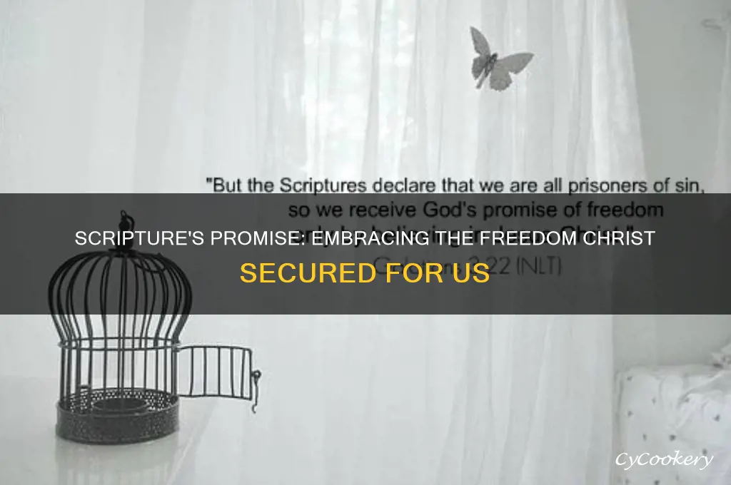 scripture he set us free for freedom