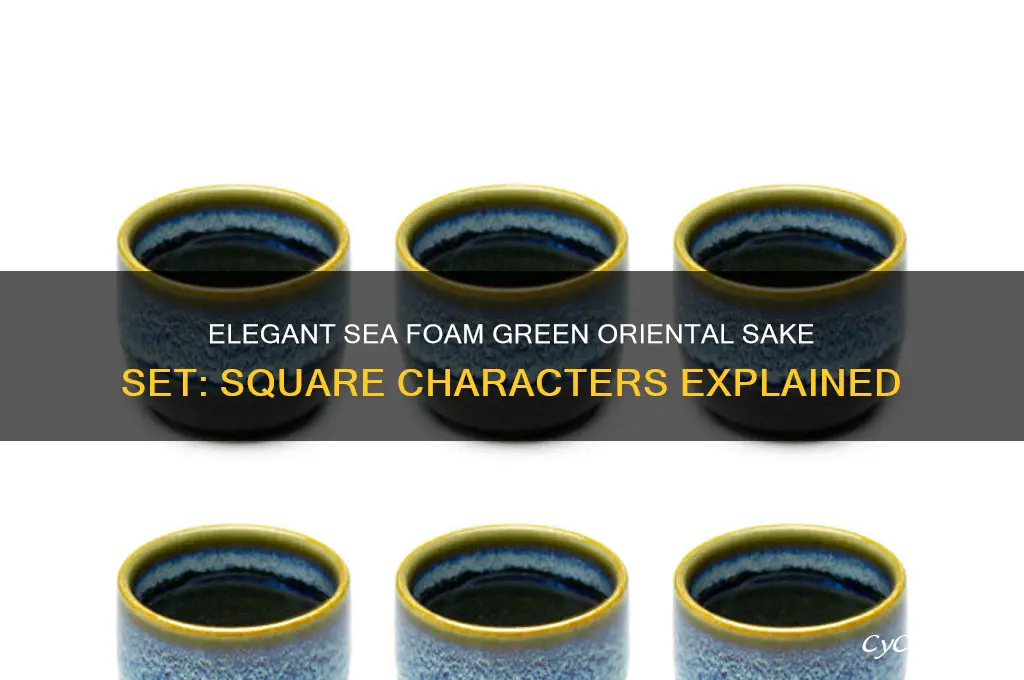 sea foam green oriental sake set square characters
