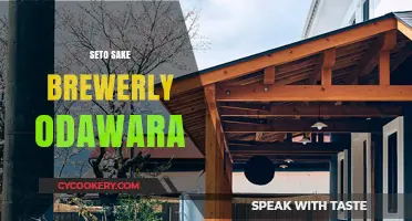 Discover Seto Sake Brewery's Craft in Odawara: A Tasting Journey