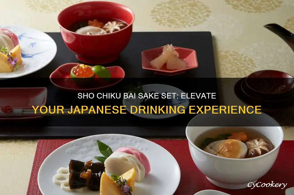 sho chiku bai sake set