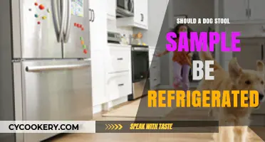 Should You Refrigerate Your Dog's Stool Sample? Expert Tips