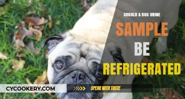 Should You Refrigerate Your Dog's Urine Sample? Expert Tips