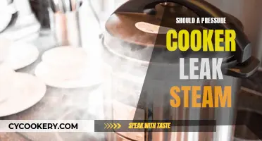 Pressure Cooker Steam Leak: What's the Deal?