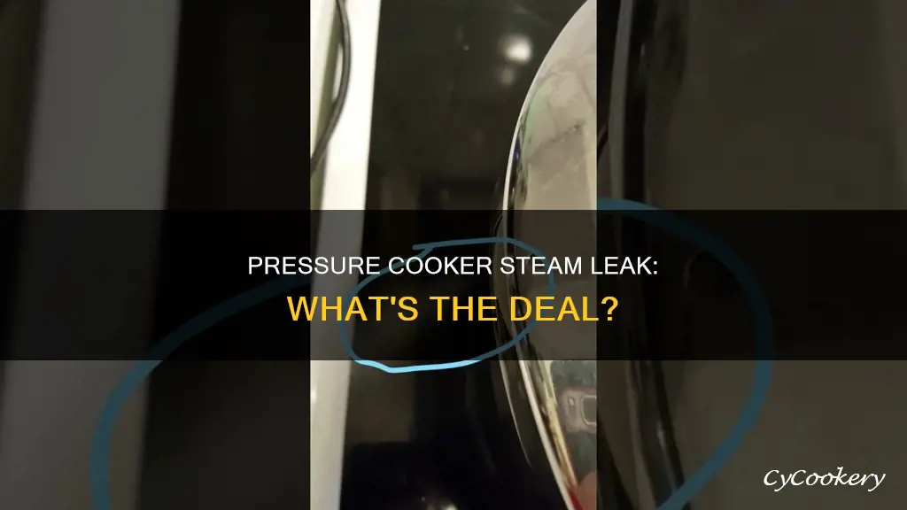 should a pressure cooker leak steam