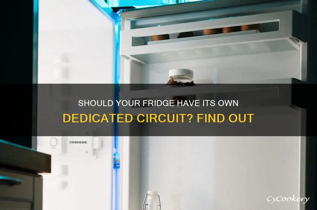 should a refrigerator be on its own circuit