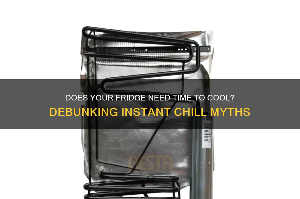 should a refrigerator blow cold air immediately