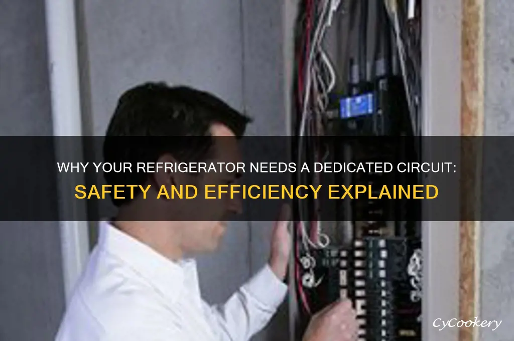 should a refrigerator have its own circuit