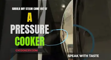 Steamy Pressure Cookers: What's the Deal?