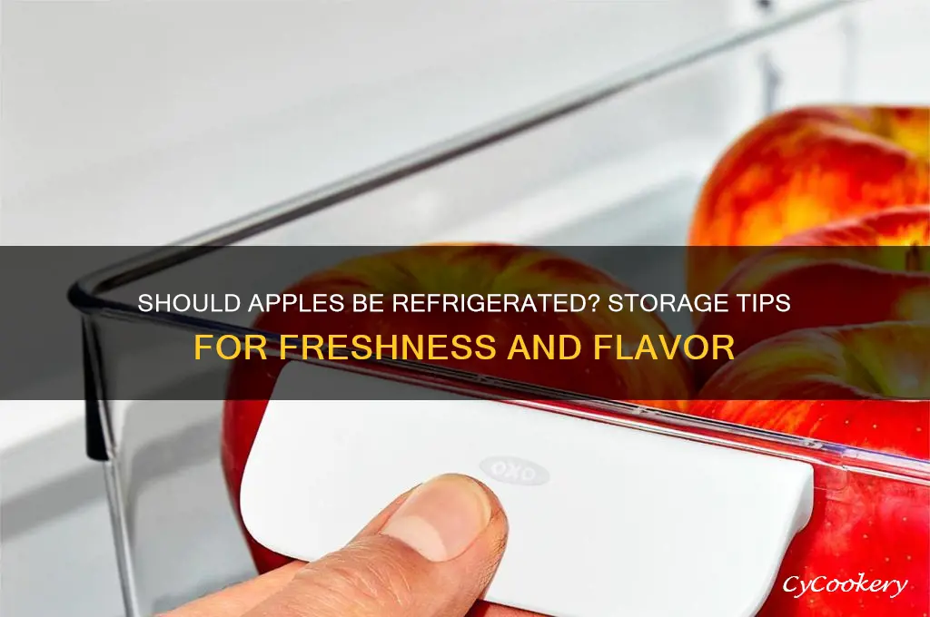 should apples be put in the refrigerator