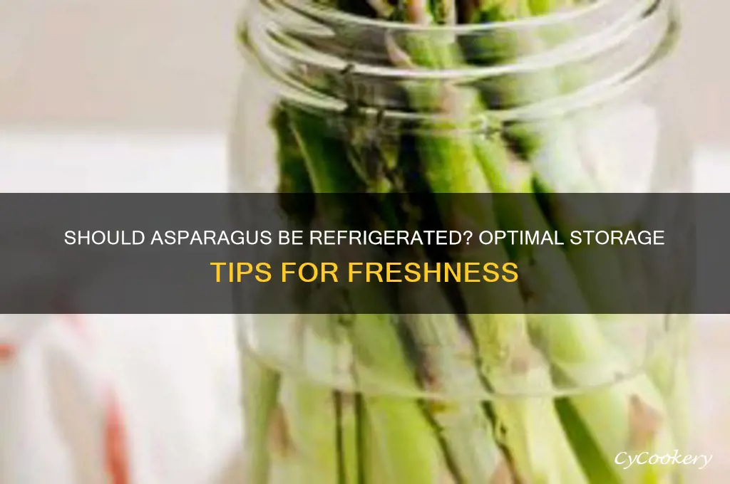should asparagus be kept in the refrigerator
