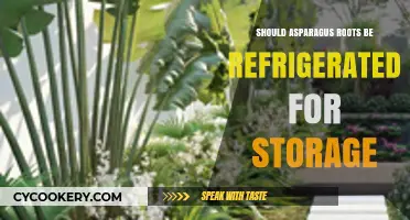 Refrigerating Asparagus Roots: Best Storage Practices for Freshness and Longevity