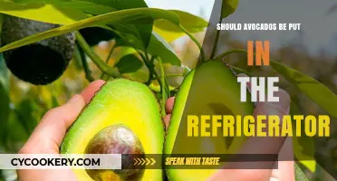 Should Avocados Be Refrigerated? The Ultimate Storage Guide