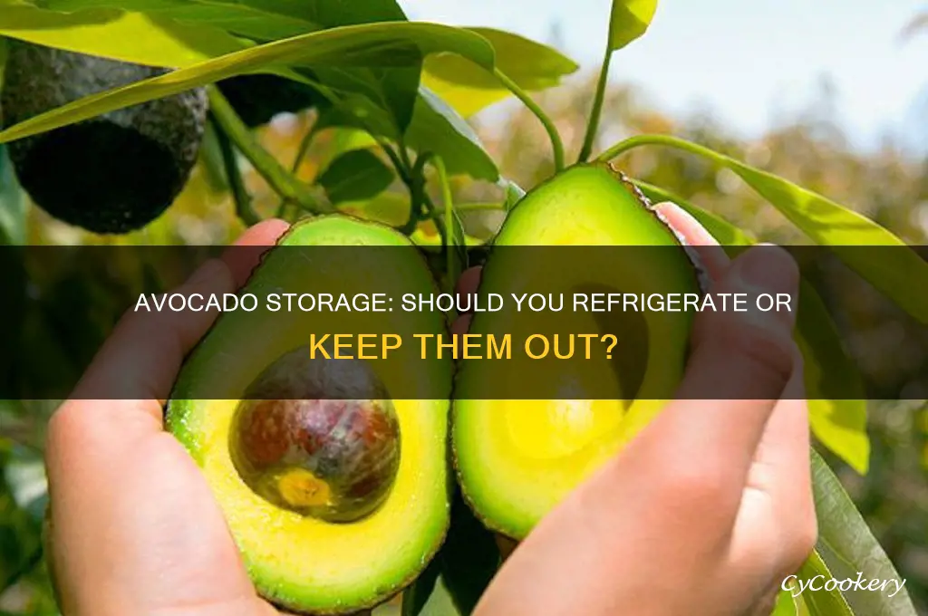should avocados be refrigerated or left out
