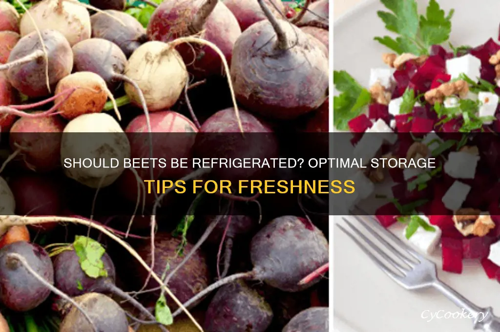 should beets be stored in the refrigerator