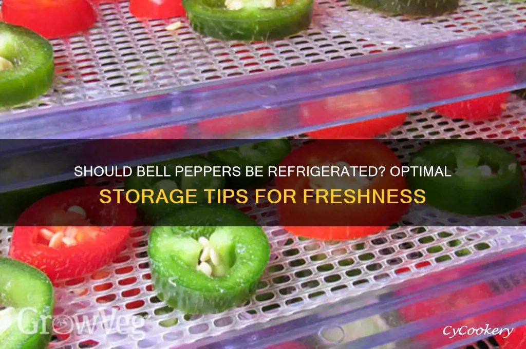 should bell peppers be stored in the refrigerator