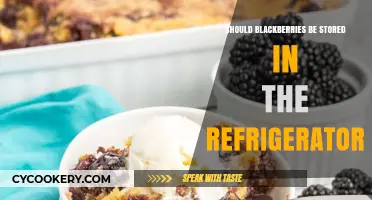 Should Blackberries Be Refrigerated? Optimal Storage Tips for Freshness