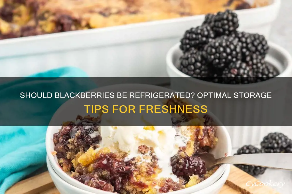 should blackberries be stored in the refrigerator