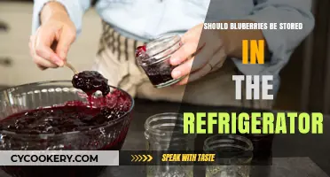 Should Blueberries Be Refrigerated? Optimal Storage Tips for Freshness