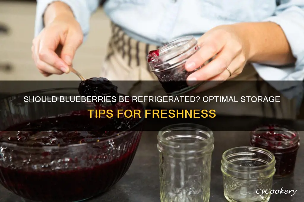 should bluberries be stored in the refrigerator