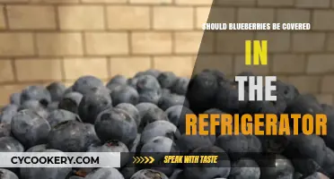 Should Blueberries Be Covered in the Fridge? Storage Tips Revealed